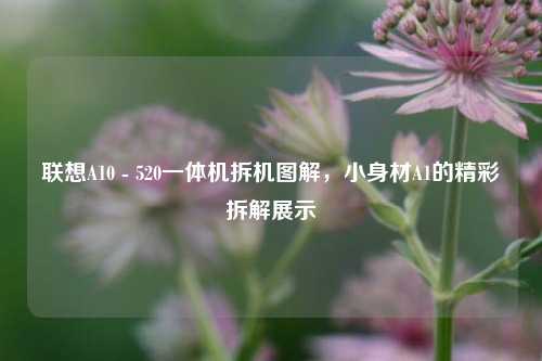 联想A10 - 520一体机拆机图解，小身材A1的精彩拆解展示