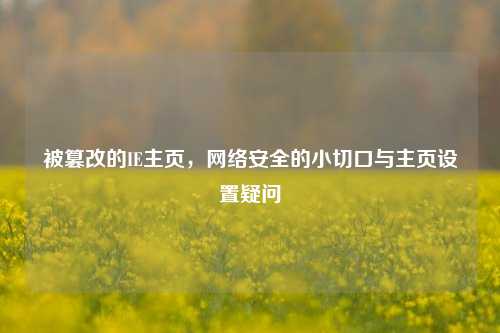 被篡改的IE主页, 安全的小切口与主页设置疑问