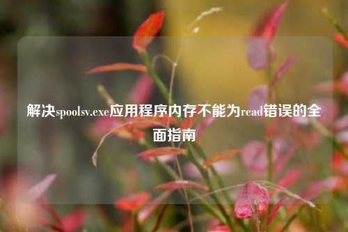 解决spoolsv.exe应用程序内存不能为read错误的全面指南