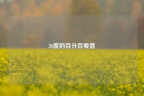 38度的百分百爱意