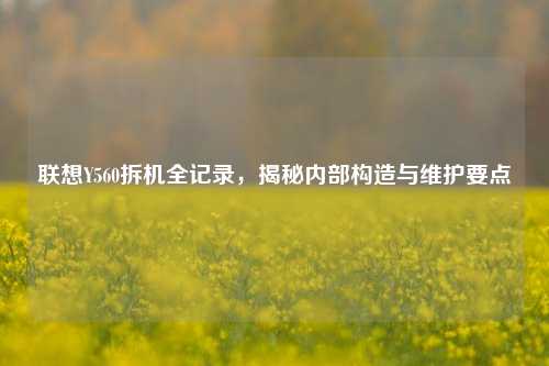 联想Y560拆机全记录，揭秘内部构造与维护要点