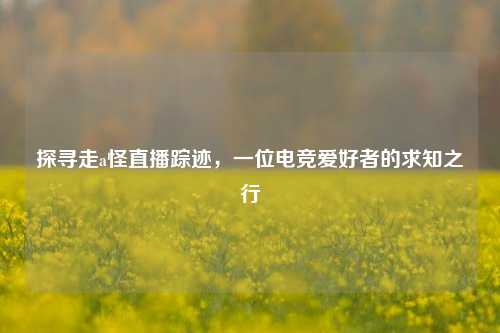 探寻走a怪直播踪迹，一位电竞爱好者的求知之行