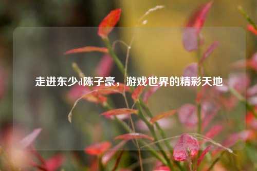走进东少d陈子豪,游戏世界的精彩天地