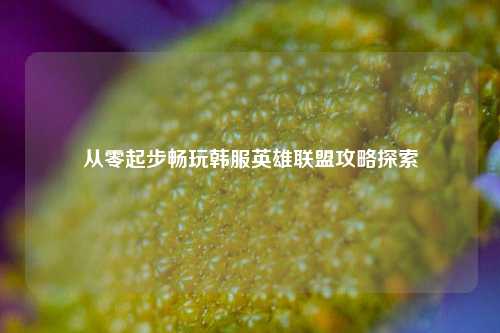 从零起步畅玩韩服英雄联盟攻略探索