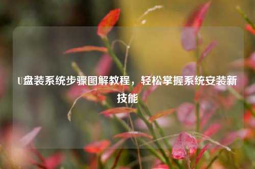U盘装系统步骤图解教程,轻松掌握系统安装新技能